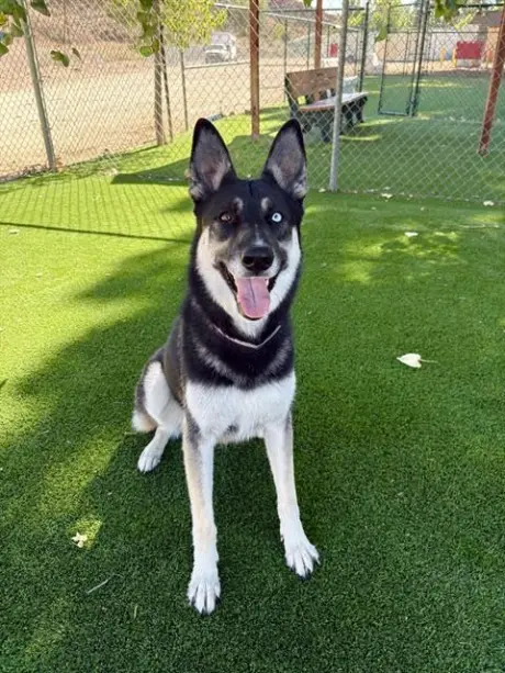 LUNA