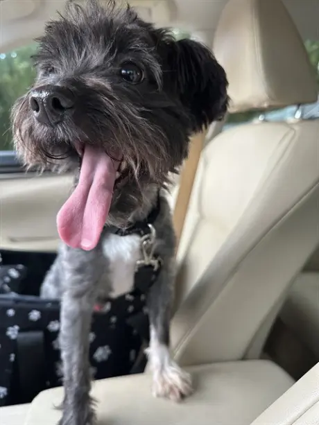 PEANUT
