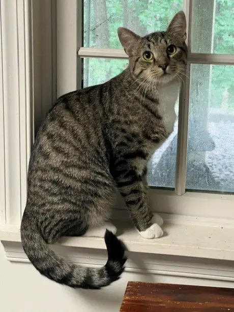 Clancy