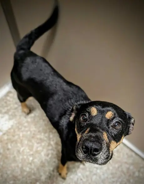 CHARLIE