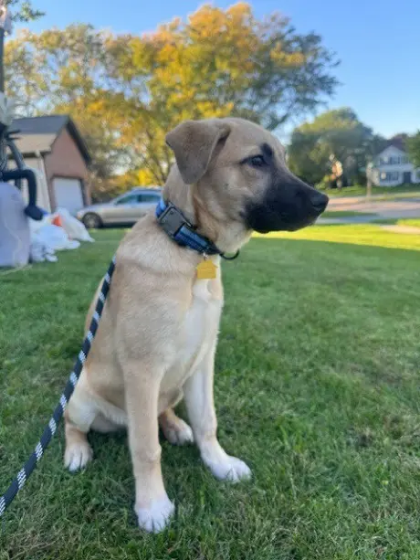 Charlie