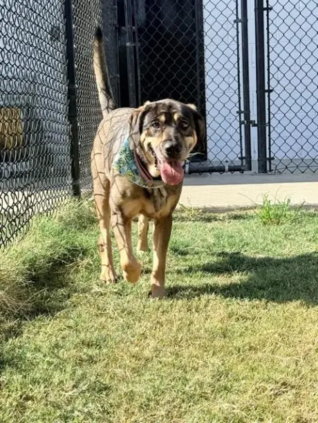GRETA