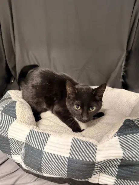 LUNA