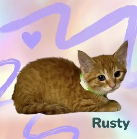 *RUSTY