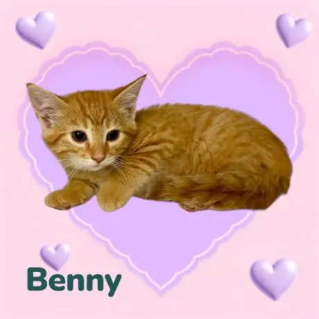 *BENNY