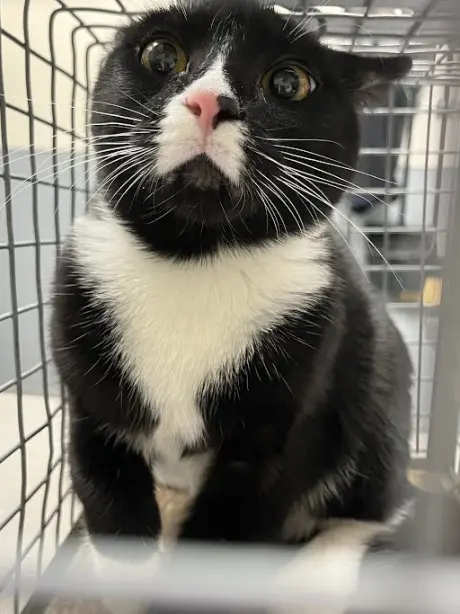 LUNA