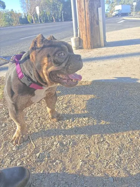FIONA