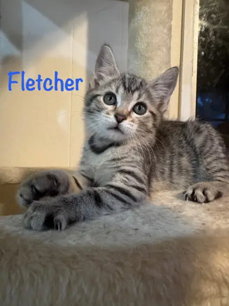 Fletcher