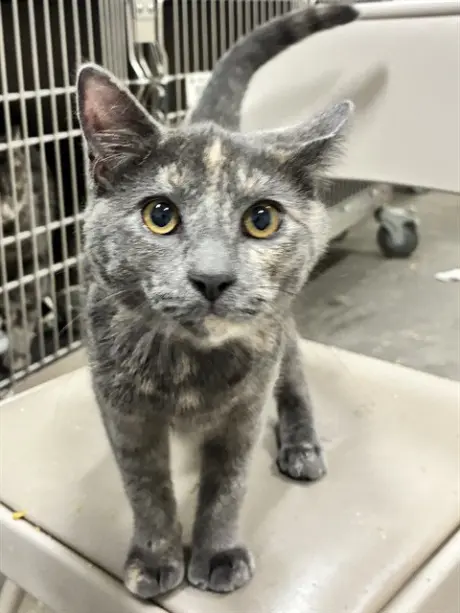 LUNA