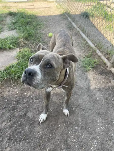MIMI
