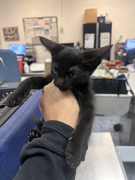 A1939285