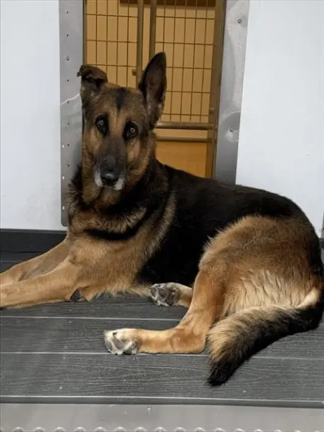 CASPIAN