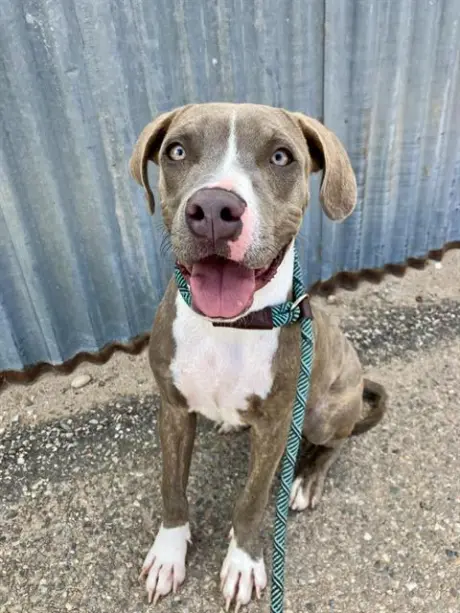 ASTRO