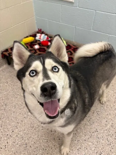 LUNA