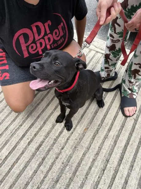 PIKO