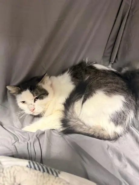 MYRTLE
