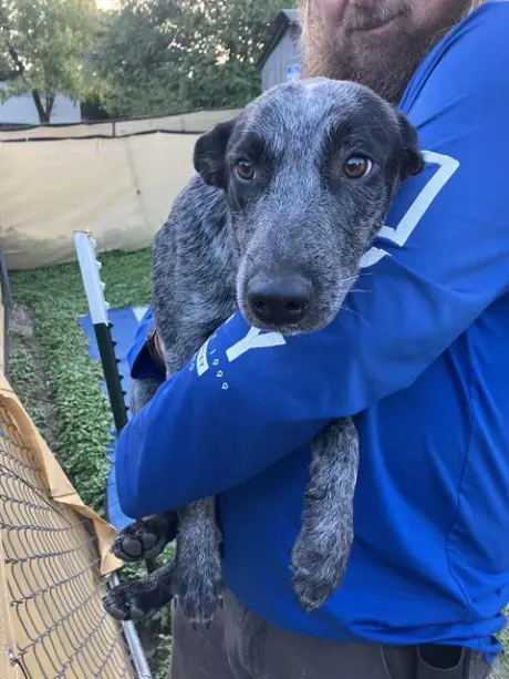 MAGGIE