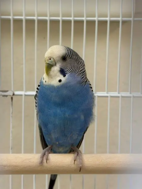 A1047580