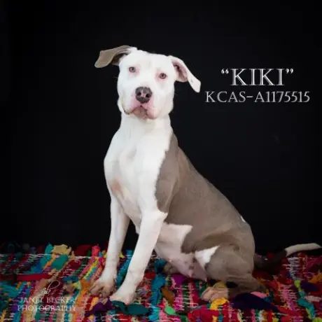 KIKI