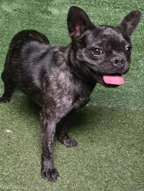 OTIS