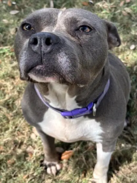 DELILAH