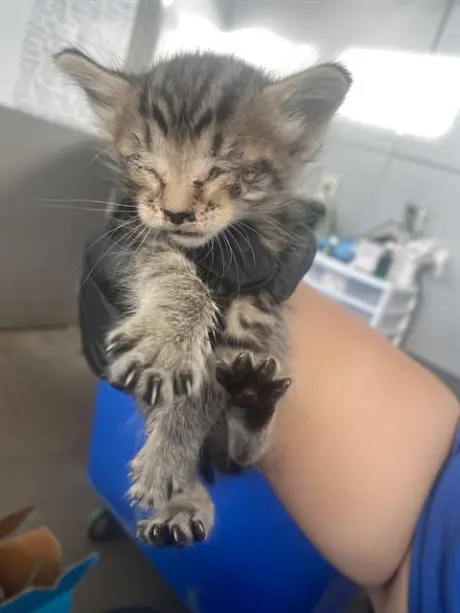 SAMMY