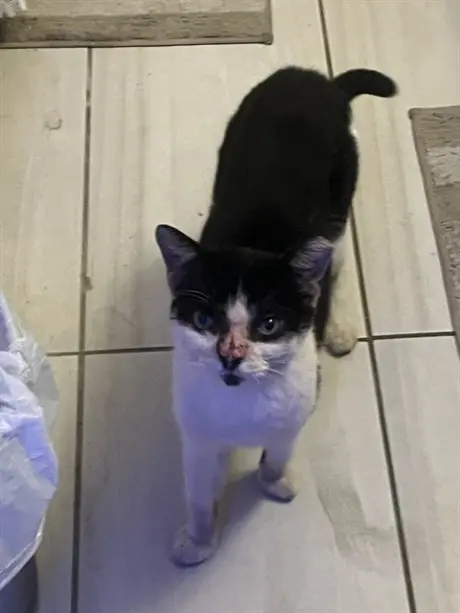 LALA