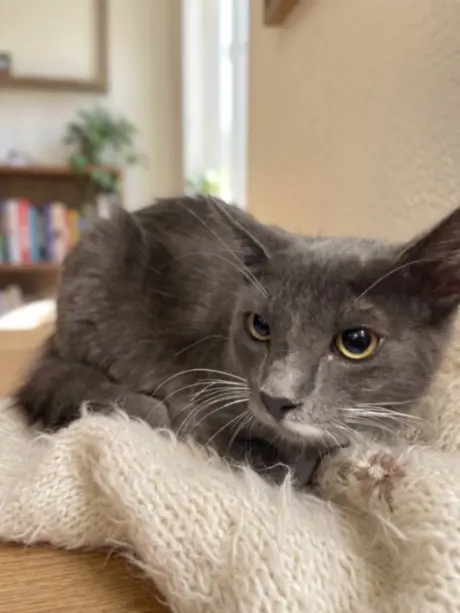 SMOKEY