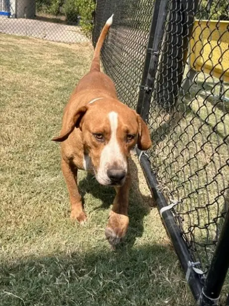 RUSTY