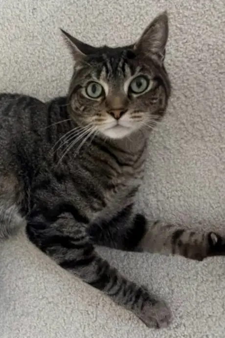 Hudson