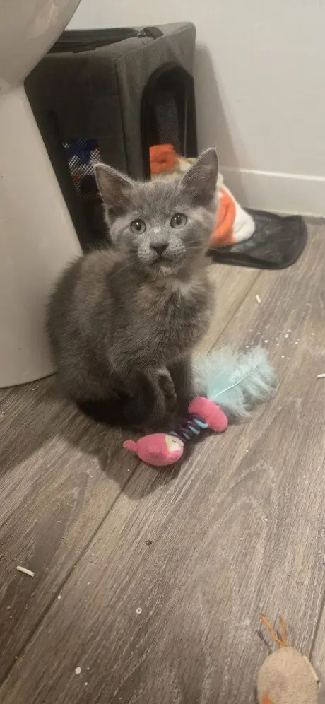 ZoÃ«