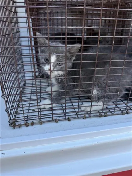 A663921