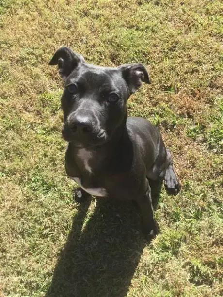 SUZIE