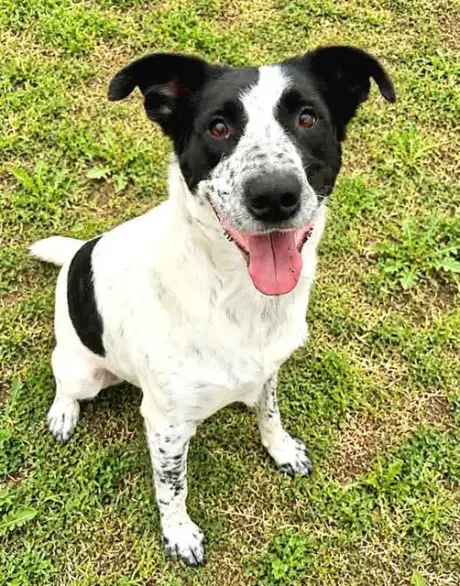 FINNEGAN (FINN)