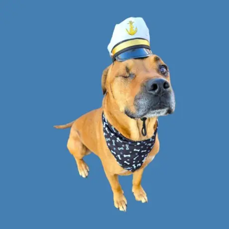 CAPTAIN MILO