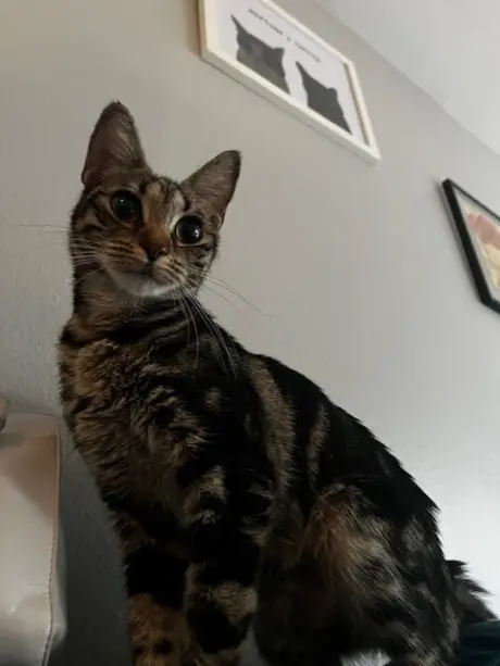 Sabrina