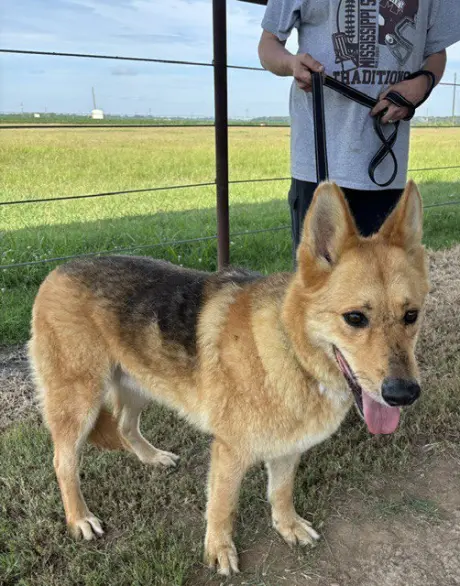 Rock