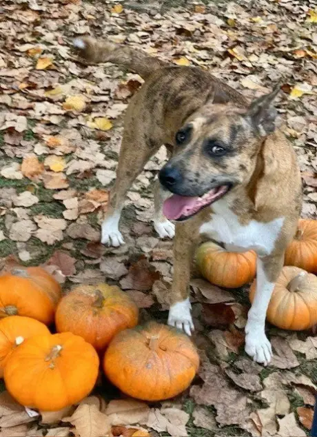 Jennings - Fall ready:)