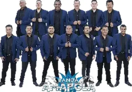 Banda Amapola 323 303 8484