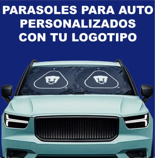 CORTINAS PARA AUTO