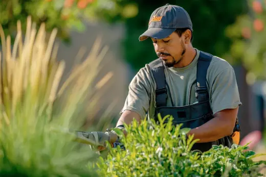 Jardinero con experiencia