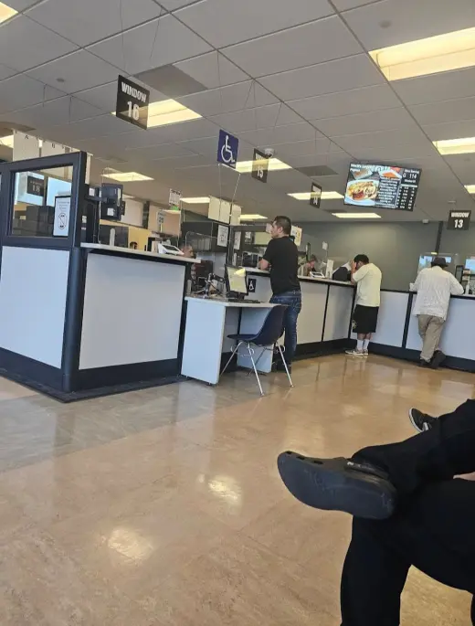 Servicio del DMV licencia de conducir