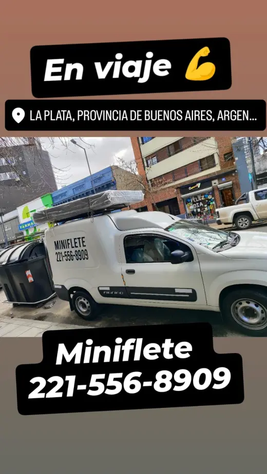 Miniflete