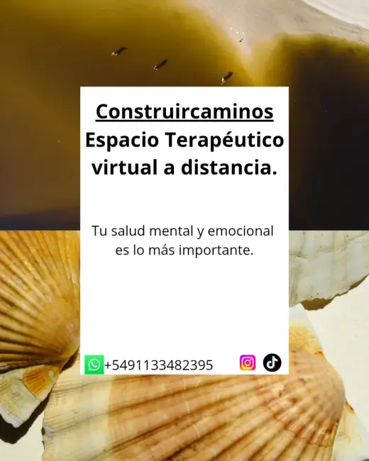 Terapia online a distancia.