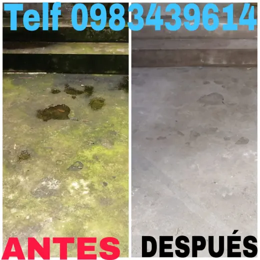 Limpieza de pisos Cayampe