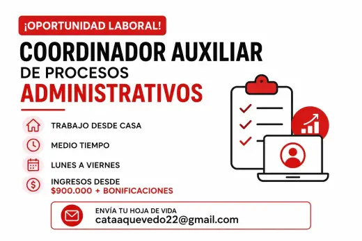 COORDINADOR AUXILIAR DE PROCESOS ADMINISTRATIVOS