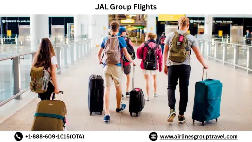 What Are JAL Group Flights?