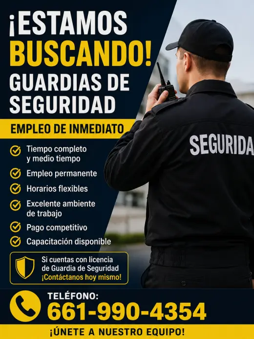 Empleo De Seguridad