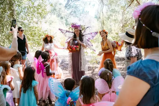 A Faery Hunt and Their Animal Friends