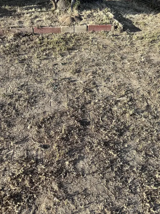 Rento casa de 3 recámaras un baño